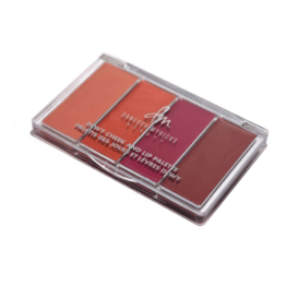 DM dewy cheek and lip palette1